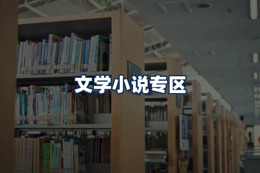 文学小说PDF展示